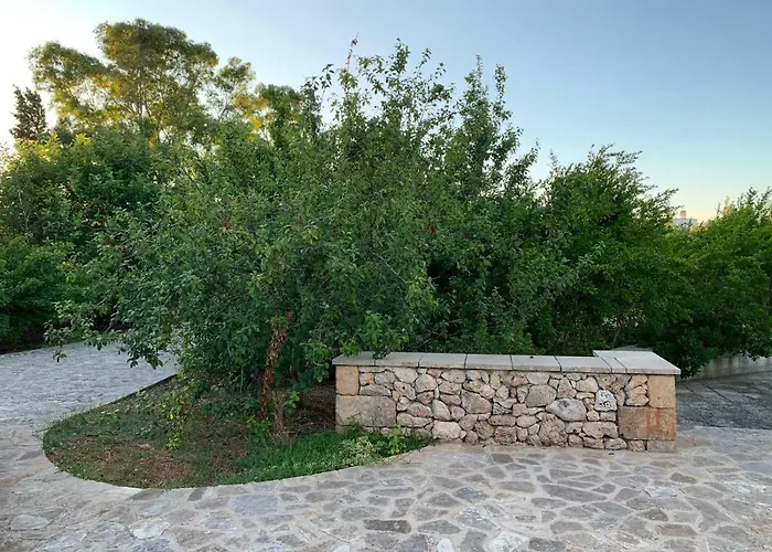 Villa Olivia