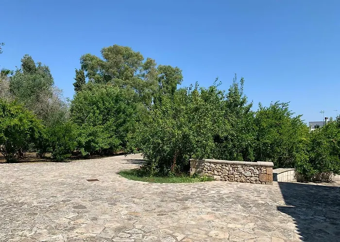 Villa Olivia